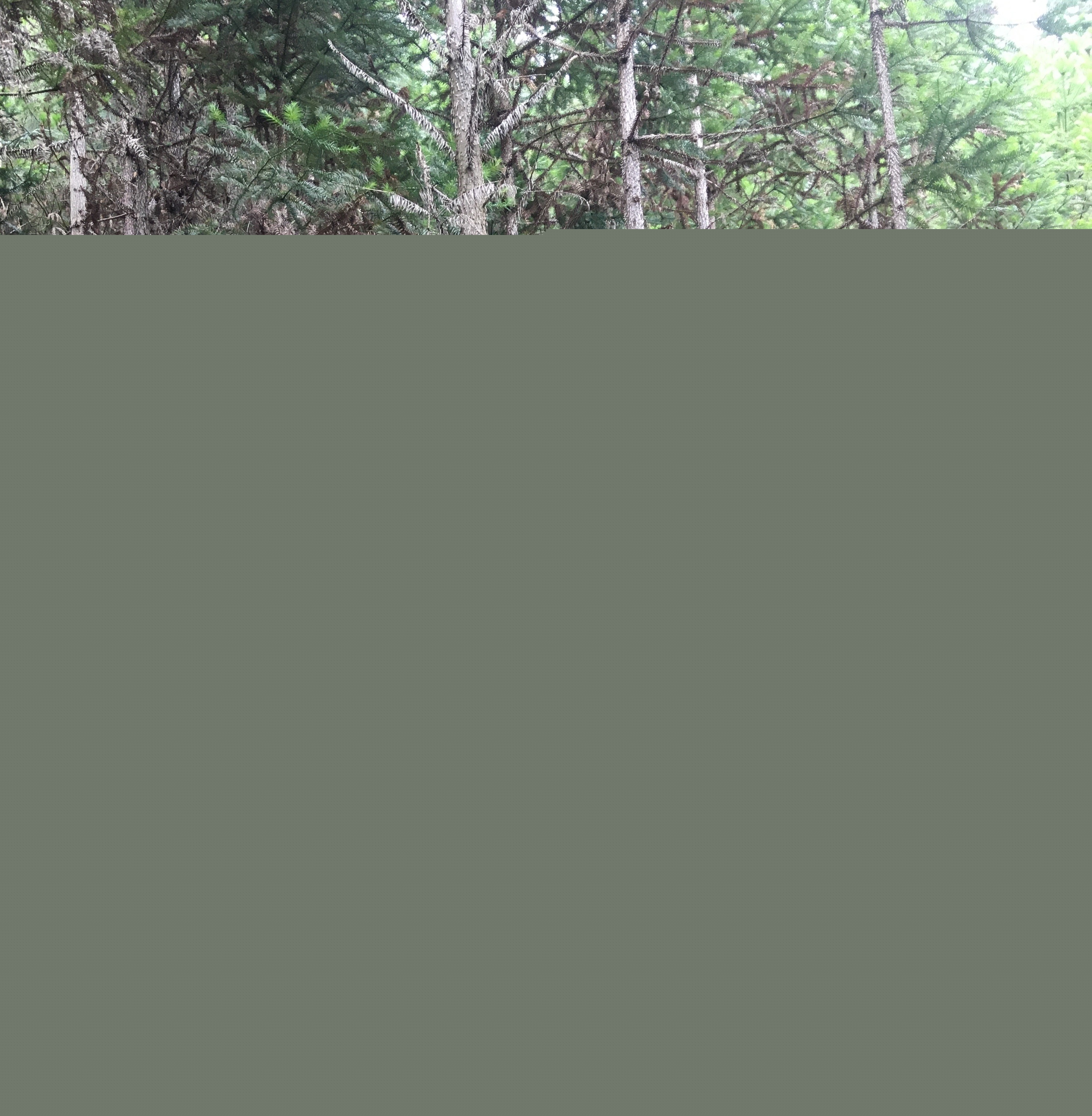 支部結對共建 促進黨建業務“雙提升” 支部結對共建 促進黨建業務“雙提升”